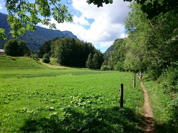 Swiss countryside 