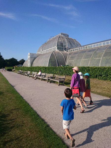 The Greenhouse at Kew Gardens