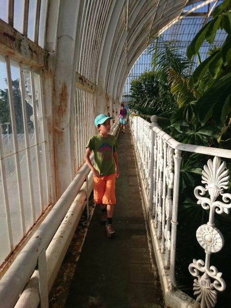 The greenhouse upper floor