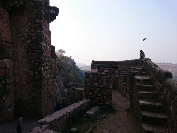 Ranthambore Fort