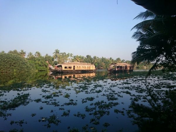 Housrboats modelled on traditional rice boats. Others appear to be constructed from blue tarps.