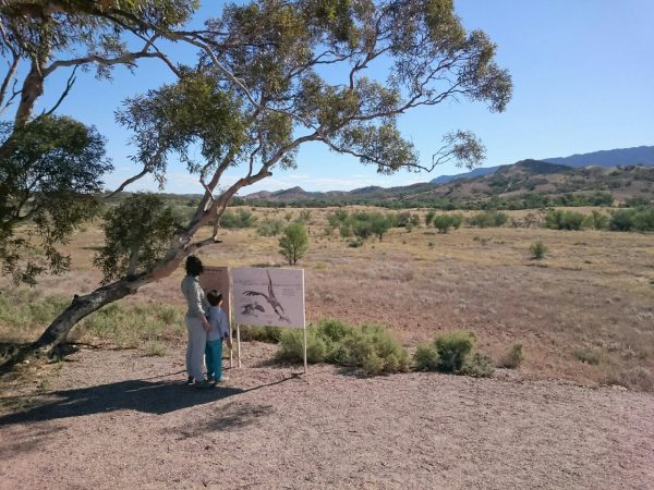 View point, Flinders Ranges.