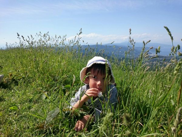 Picknicking in the grass